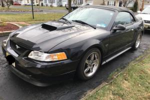 2000 Ford Mustang Photo