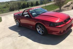 2002 Ford Mustang Photo
