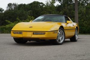 1990 Chevrolet Corvette R9G WORLD CHALLENGE RACE CAR Photo