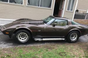 1979 Chevrolet Corvette Photo