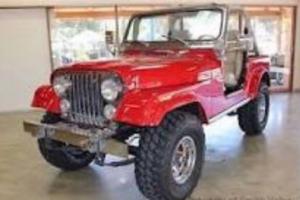 1979 Jeep CJ Photo