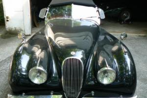 1950 Jaguar XK Photo