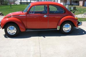 1973 Volkswagen Beetle - Classic Photo