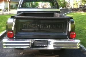 1979 Chevrolet Other Pickups Photo