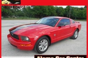 2009 Ford Mustang -- Photo