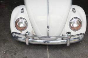 1962 Volkswagen Beetle - Classic Photo