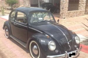 1963 Volkswagen Beetle - Classic Photo