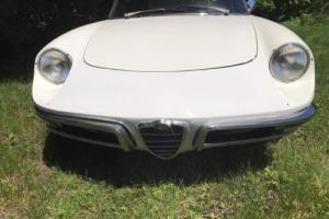 1967 Alfa Romeo Spider Photo