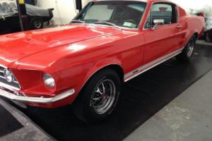 1967 Ford Mustang GT Photo