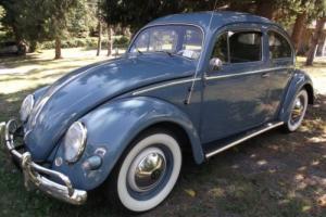 1957 Volkswagen Beetle - Classic type 1 Photo
