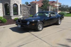 1976 Pontiac Firebird Firebird Trans Am