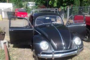 1956 Volkswagen Beetle - Classic Oval window