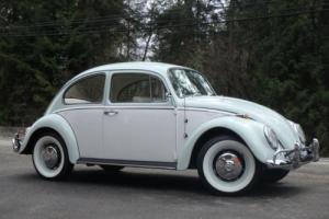 Volkswagen: Beetle - Classic Type 1 Deluxe Photo
