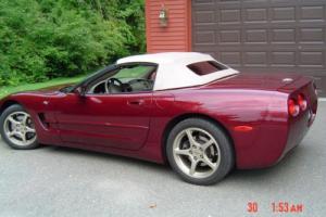 2003 Chevrolet Corvette Corvette Photo