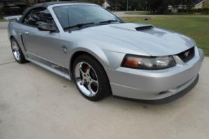 2004 Ford Mustang Photo