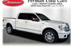 2013 Ford F-150 4WD SUPERCREW 145 Photo