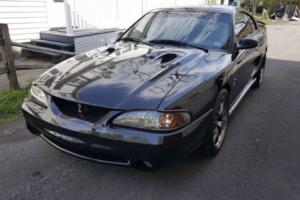 1996 Ford Mustang Svt Photo