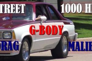 1981 Chevrolet Malibu G BODY
