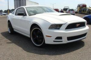 2013 Ford Mustang Base Photo