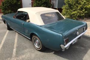 1966 Ford Mustang Photo