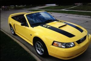 2000 Ford Mustang GT Spring Feature Edition Photo