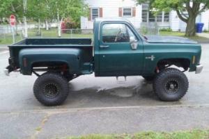 1973 Chevrolet Other Pickups Photo