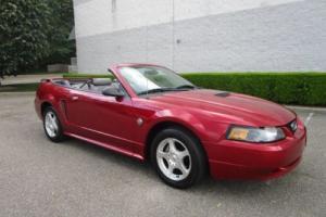 2004 Ford Mustang Deluxe Photo