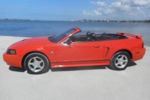2004 Ford Mustang Deluxe 2dr Convertible Photo