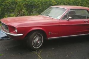 1967 Ford Mustang Coupe Photo