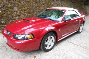 2003 Ford Mustang Pony Package Photo