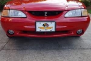 1994 Ford Mustang Cobra Photo