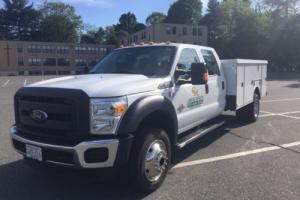 2015 Ford F-550 Photo