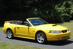 2004 Ford Mustang 40th anniversary edition Photo