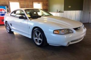 1995 Ford Mustang COBRA R Photo