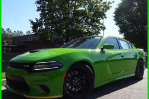 2017 Dodge Charger Photo