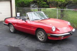 1986 Alfa Romeo Spider Photo