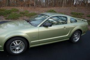 2006 Ford Mustang GT Photo
