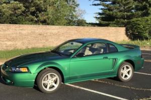 1999 Ford Mustang Photo