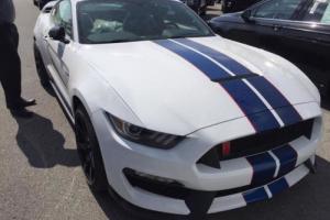 2017 Ford Mustang Shelby GT350 Fastback Photo