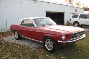 1967 Ford Mustang Photo