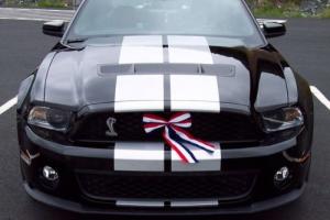 2010 Shelby Mustang GT500 SVT Shelby GT500 Coupe