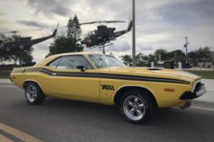 1973 Dodge Challenger Photo