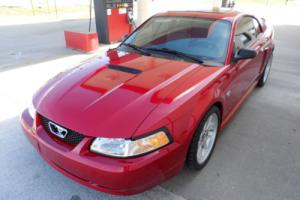 1999 Ford Mustang Photo