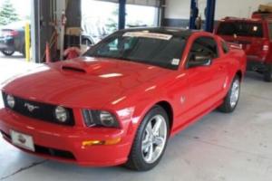 2009 Ford Mustang GT Photo