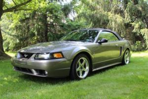 2001 Ford Mustang Photo