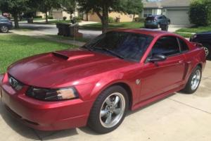 2004 Ford Mustang GT-5 Speed Photo