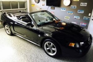 2004 Ford Mustang Photo