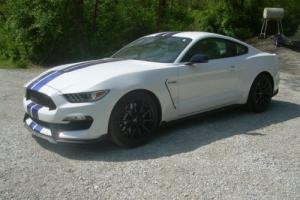 2016 Shelby Mustang GT350 Photo