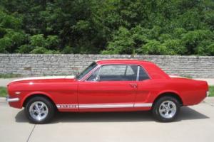 1965 Ford Mustang GT 350 Photo