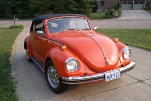 1971 Volkswagen Beetle - Classic Photo